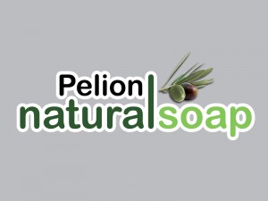 LOGO_PNS_FINAL